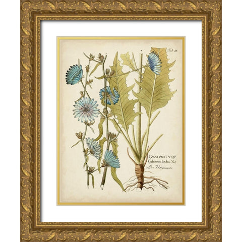 Eloquent Botanical I Gold Ornate Wood Framed Art Print with Double Matting by Vision Studio