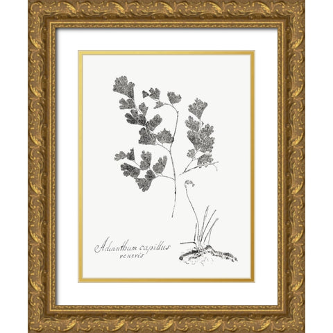 Botanical Imprint I Gold Ornate Wood Framed Art Print with Double Matting by Vision Studio