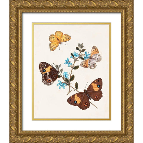 Butterflies and Moths I Gold Ornate Wood Framed Art Print with Double Matting by Unknown