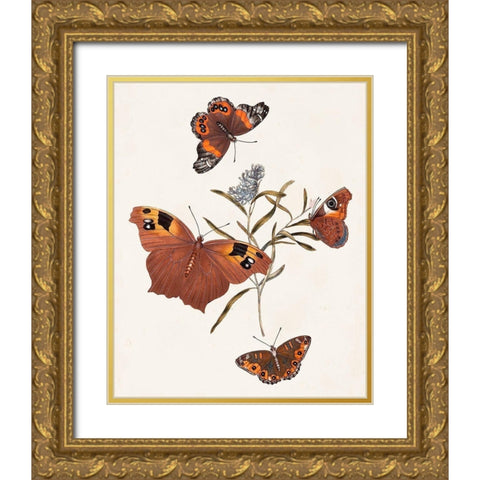 Butterflies and Moths VI Gold Ornate Wood Framed Art Print with Double Matting by Unknown