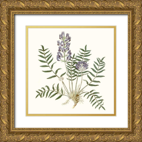 Graceful Botanical I Gold Ornate Wood Framed Art Print with Double Matting by Vision Studio