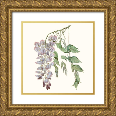 Graceful Botanical II Gold Ornate Wood Framed Art Print with Double Matting by Vision Studio