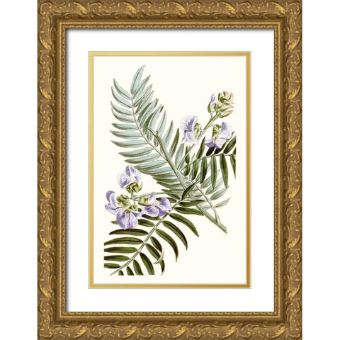 Graceful Botanical IV Gold Ornate Wood Framed Art Print with Double Matting by Vision Studio