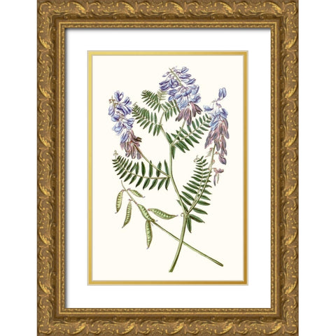 Graceful Botanical V Gold Ornate Wood Framed Art Print with Double Matting by Vision Studio