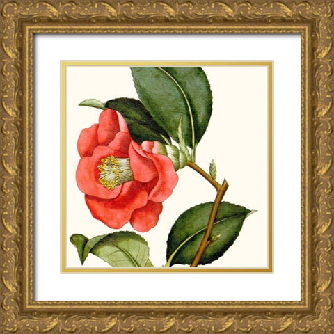 Cropped Antique Botanical III Gold Ornate Wood Framed Art Print with Double Matting by Vision Studio