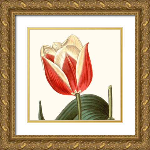 Cropped Antique Botanical IV Gold Ornate Wood Framed Art Print with Double Matting by Vision Studio