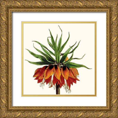 Cropped Antique Botanical V Gold Ornate Wood Framed Art Print with Double Matting by Vision Studio
