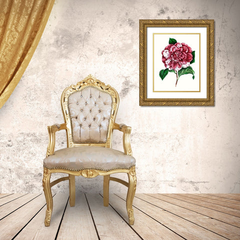 Grand Blooms V Gold Ornate Wood Framed Art Print with Double Matting by Unknown
