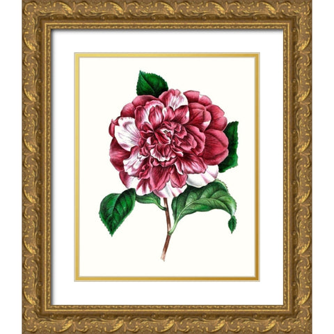 Grand Blooms V Gold Ornate Wood Framed Art Print with Double Matting by Unknown