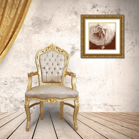 Sepia Rapture II Gold Ornate Wood Framed Art Print with Double Matting by Stalus, Judy