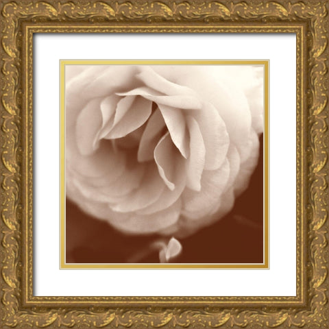 Sepia Rapture II Gold Ornate Wood Framed Art Print with Double Matting by Stalus, Judy