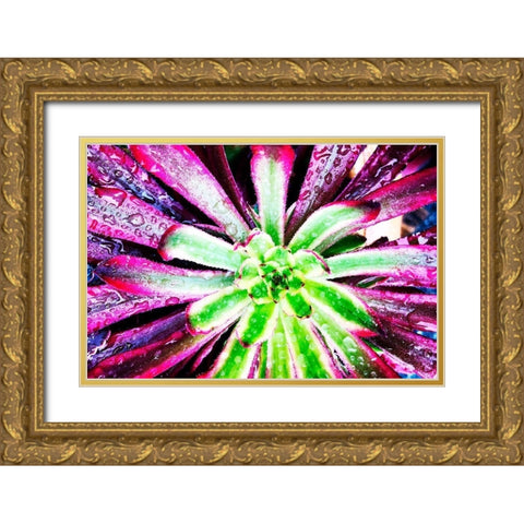 Bright Exotic I Gold Ornate Wood Framed Art Print with Double Matting by Orlov, Irena