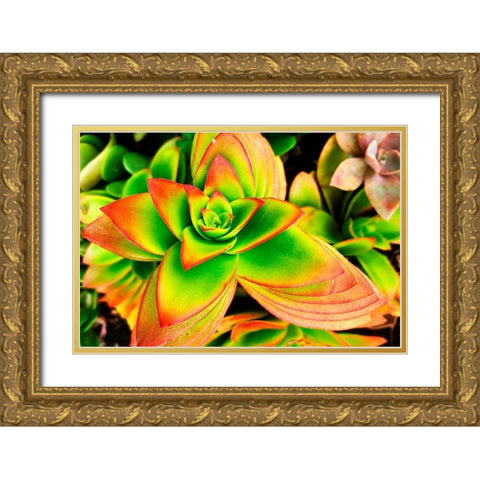 Bright Exotic II Gold Ornate Wood Framed Art Print with Double Matting by Orlov, Irena