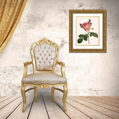 Redoutes Rose I Gold Ornate Wood Framed Art Print with Double Matting by Redoute, Pierre