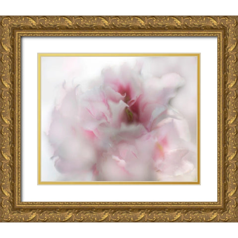 Hope in Pink I Gold Ornate Wood Framed Art Print with Double Matting by Hunt, Gillian