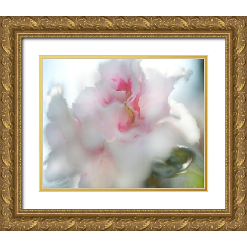 Hope in Pink II Gold Ornate Wood Framed Art Print with Double Matting by Hunt, Gillian