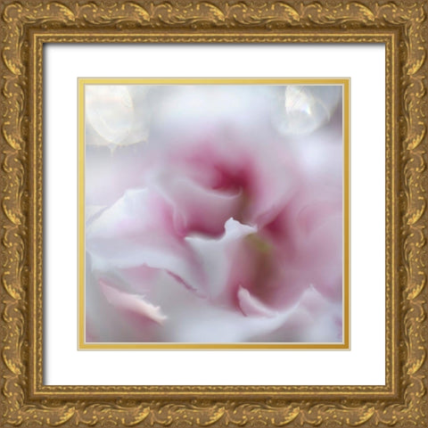 Hope in Pink III Gold Ornate Wood Framed Art Print with Double Matting by Hunt, Gillian