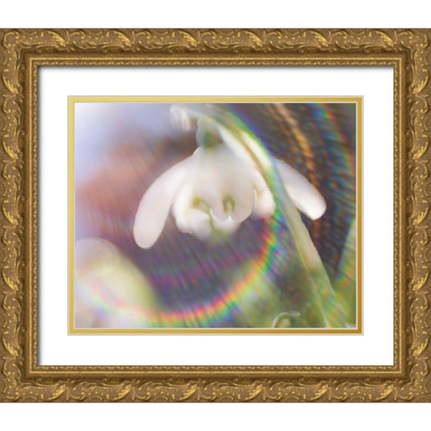 Glorious in Rainbow I Gold Ornate Wood Framed Art Print with Double Matting by Hunt, Gillian
