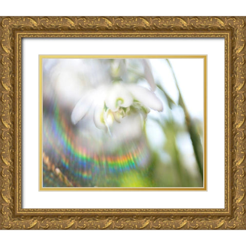 Glorious in Rainbow II Gold Ornate Wood Framed Art Print with Double Matting by Hunt, Gillian
