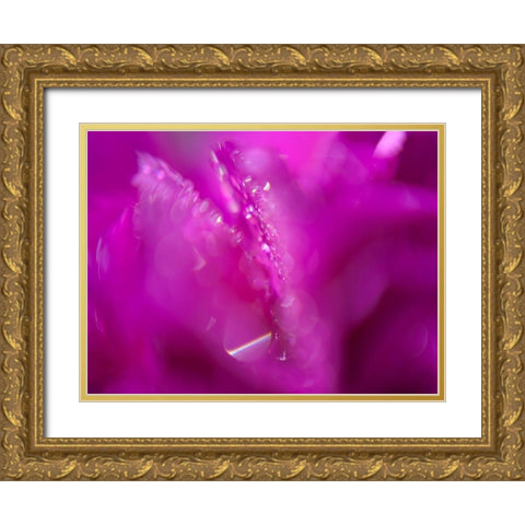 Hearts in Pink I Gold Ornate Wood Framed Art Print with Double Matting by Hunt, Gillian