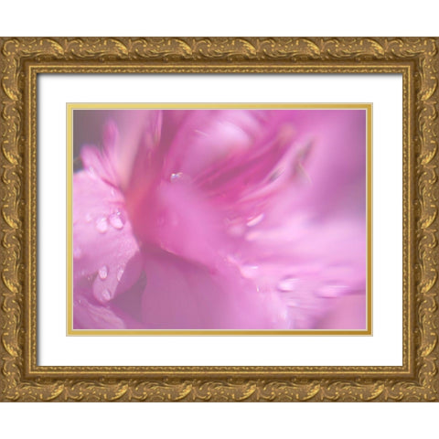 Hearts in Pink II Gold Ornate Wood Framed Art Print with Double Matting by Hunt, Gillian