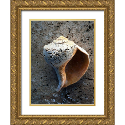 Gifts of the Shore V Gold Ornate Wood Framed Art Print with Double Matting by Ray, Elena