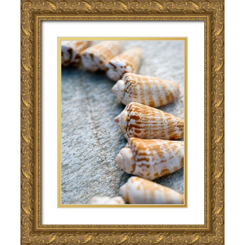 Gifts of the Shore X Gold Ornate Wood Framed Art Print with Double Matting by Ray, Elena