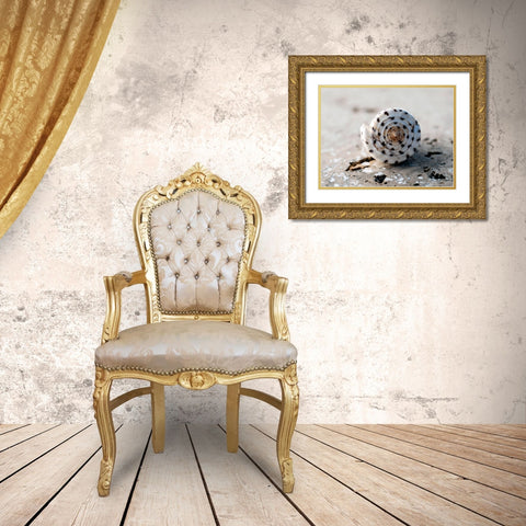 Gifts of the Shore XVII Gold Ornate Wood Framed Art Print with Double Matting by Ray, Elena