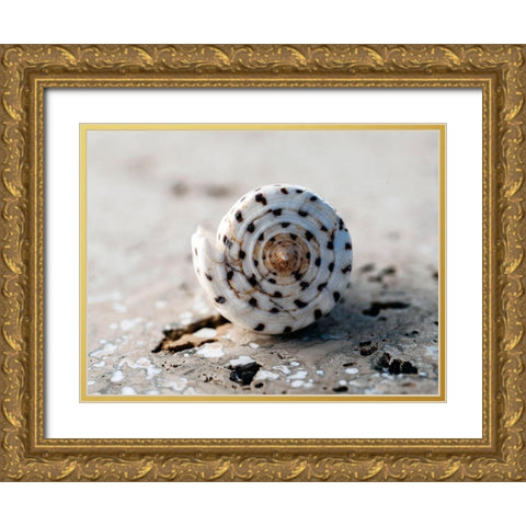 Gifts of the Shore XVII Gold Ornate Wood Framed Art Print with Double Matting by Ray, Elena