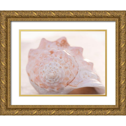 Shell Portrait I Gold Ornate Wood Framed Art Print with Double Matting by Ray, Elena