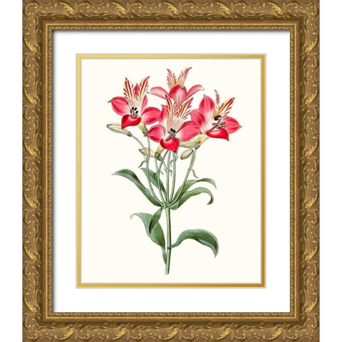 Roseate Blooms I Gold Ornate Wood Framed Art Print with Double Matting by Vision Studio