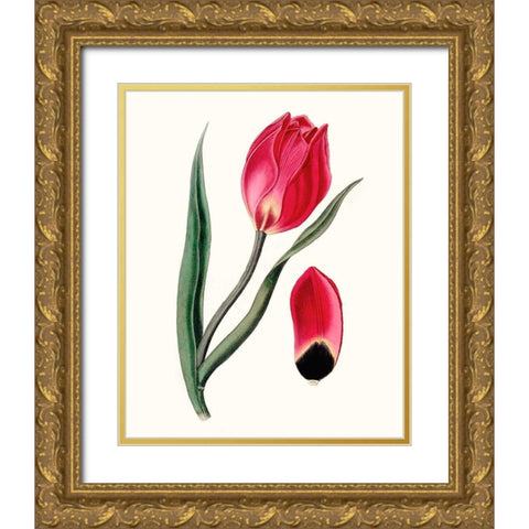 Roseate Blooms II Gold Ornate Wood Framed Art Print with Double Matting by Vision Studio