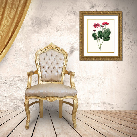 Roseate Blooms III Gold Ornate Wood Framed Art Print with Double Matting by Vision Studio