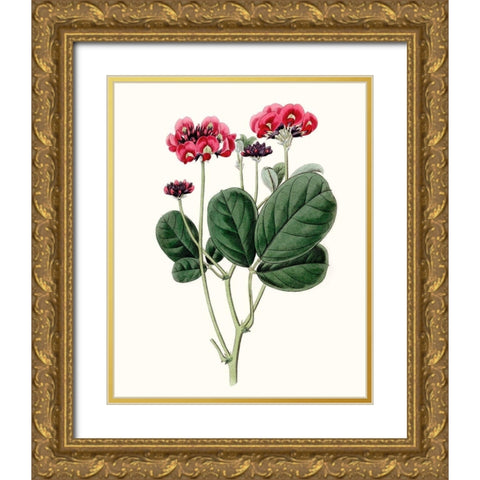 Roseate Blooms III Gold Ornate Wood Framed Art Print with Double Matting by Vision Studio