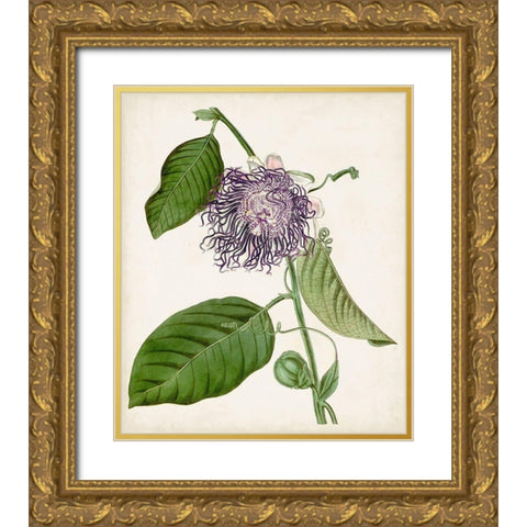 Vintage Passionflower I Gold Ornate Wood Framed Art Print with Double Matting by Vision Studio