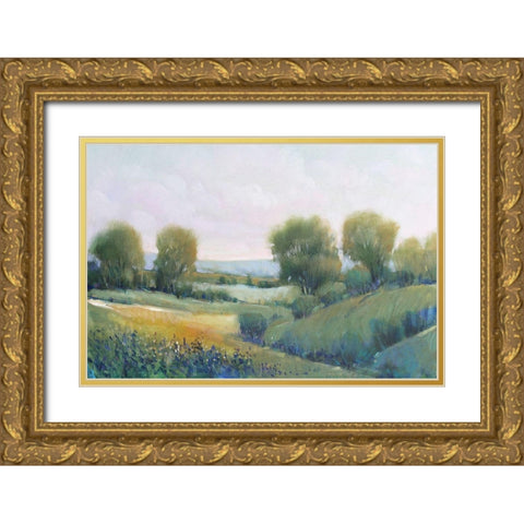 Paysage II Gold Ornate Wood Framed Art Print with Double Matting by OToole, Tim