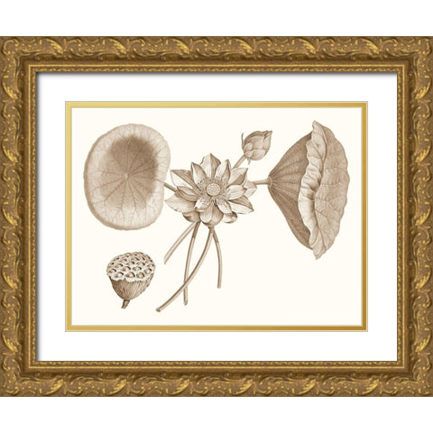 Sepia Water Lily I Gold Ornate Wood Framed Art Print with Double Matting by Vision Studio