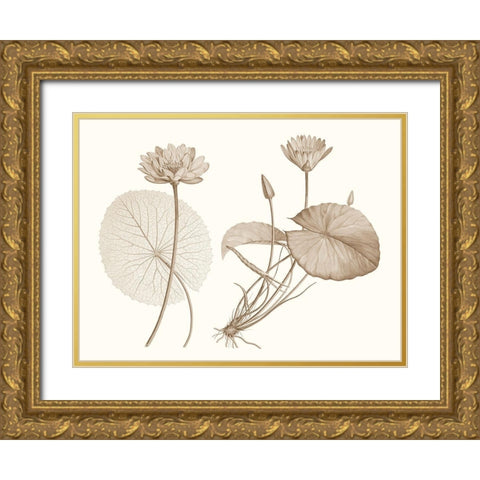 Sepia Water Lily II Gold Ornate Wood Framed Art Print with Double Matting by Vision Studio