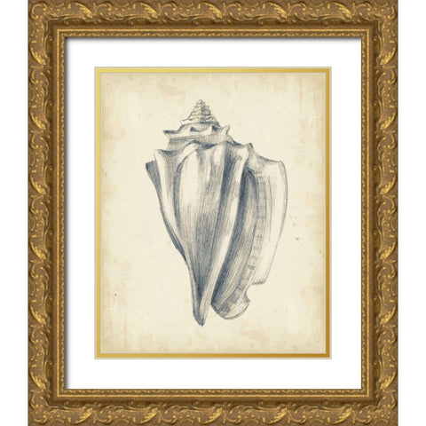 Custom Antique Shell Study IV (ASH) Gold Ornate Wood Framed Art Print with Double Matting by Harper, Ethan