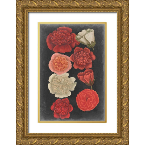 Midnight Roses Gold Ornate Wood Framed Art Print with Double Matting by Vision Studio