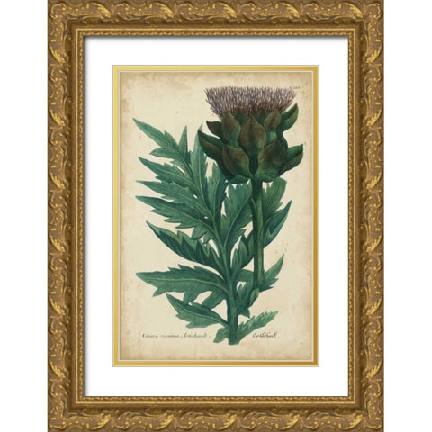 Weinmann Foliage and Fruit II Gold Ornate Wood Framed Art Print with Double Matting by Weinmann
