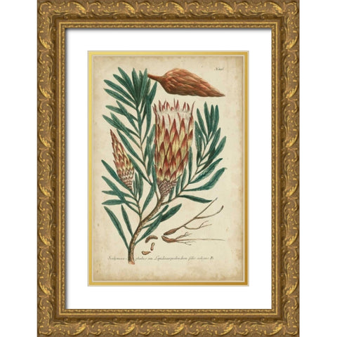 Weinmann Foliage and Fruit III Gold Ornate Wood Framed Art Print with Double Matting by Weinmann