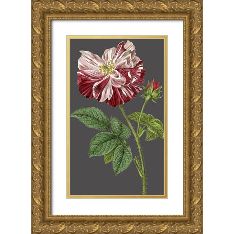 30x18 Midnight Garden Varieties II (ASH) Gold Ornate Wood Framed Art Print with Double Matting by Vision Studio