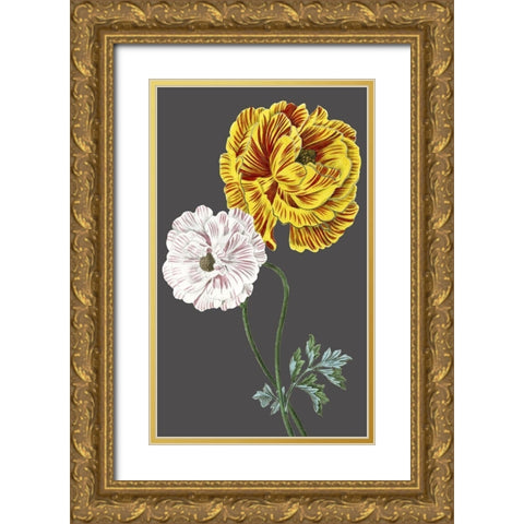 30x18 Midnight Garden Varieties III (ASH) Gold Ornate Wood Framed Art Print with Double Matting by Vision Studio