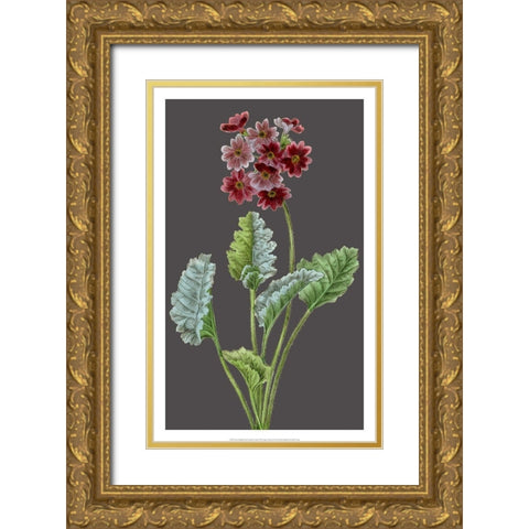 Midnight Garden Varieties VI Gold Ornate Wood Framed Art Print with Double Matting by Vision Studio