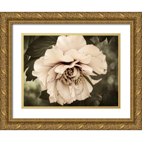 Golden Era Peony IV Gold Ornate Wood Framed Art Print with Double Matting by Perry, Rachel