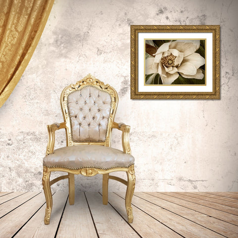 Classic Magnolia I Gold Ornate Wood Framed Art Print with Double Matting by Perry, Rachel