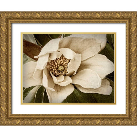 Classic Magnolia I Gold Ornate Wood Framed Art Print with Double Matting by Perry, Rachel