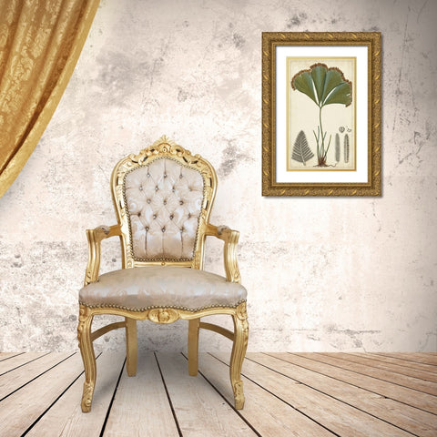 40x24 Foliage Botanique I (ASH) Gold Ornate Wood Framed Art Print with Double Matting by Turpin
