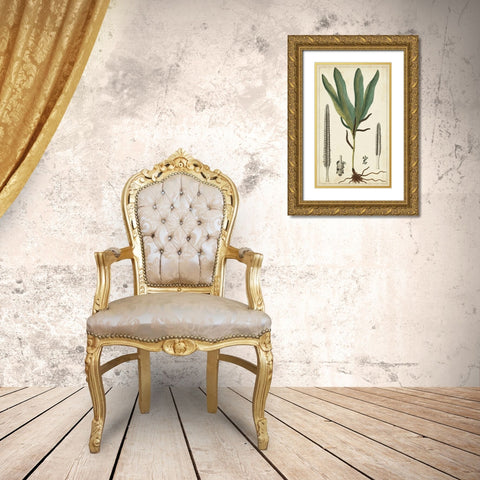 40x24 Foliage Botanique II (ASH) Gold Ornate Wood Framed Art Print with Double Matting by Turpin